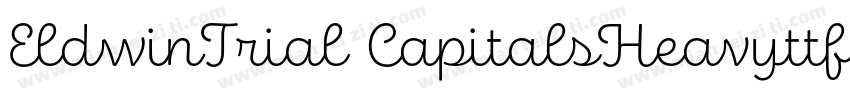 EldwinTrial CapitalsHeavyttf字体转换
